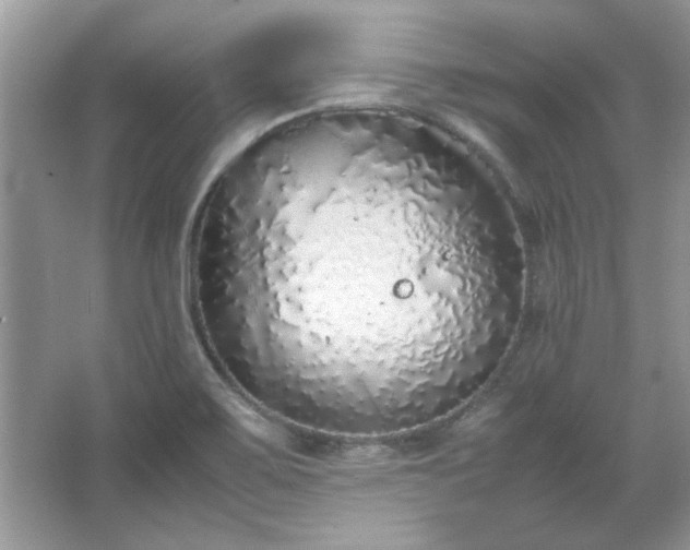 X0000067341467200604030946