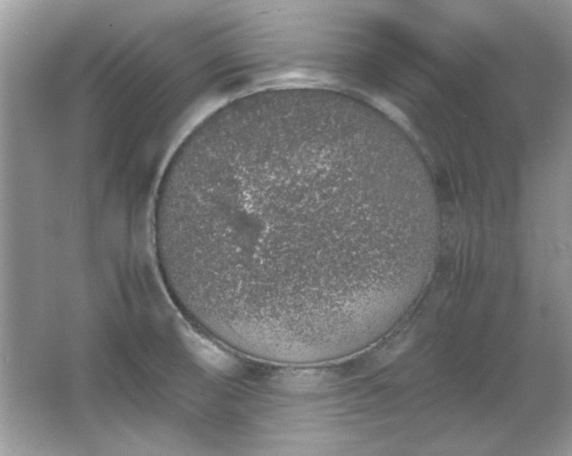 X0000067341474200604030946