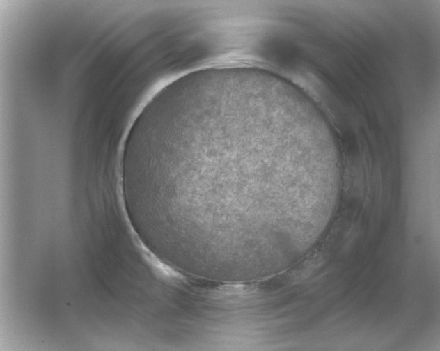 X0000067341478200604030946