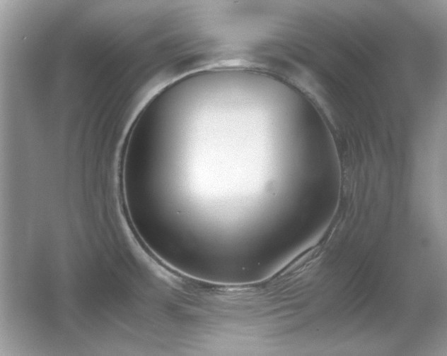 X0000067341483200604030946