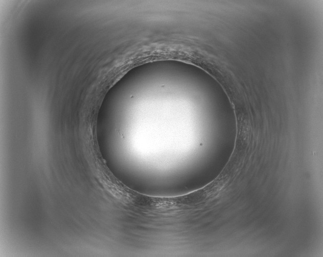 X0000067341489200604030945