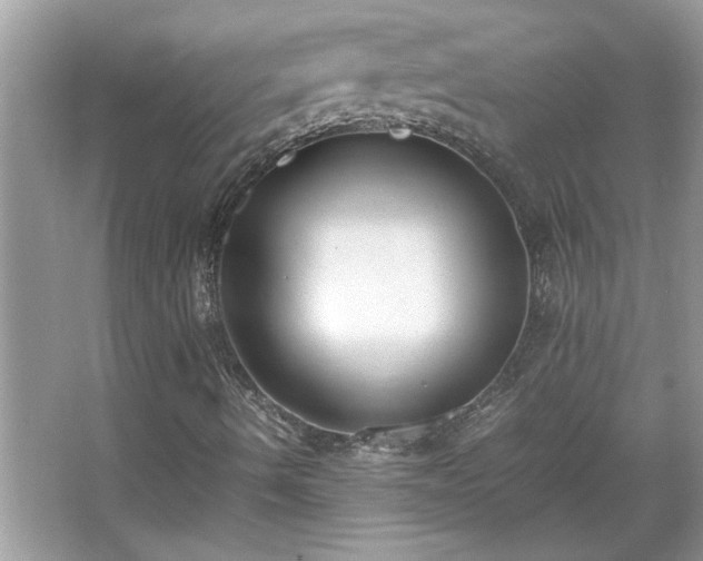 X0000067341490200604030945