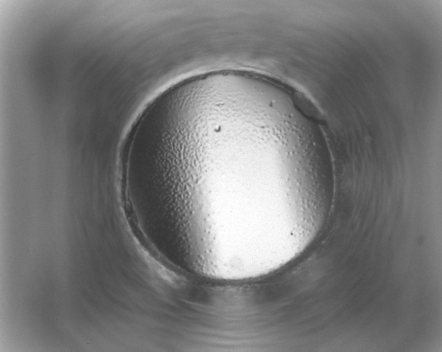 X0000067341508200604030946