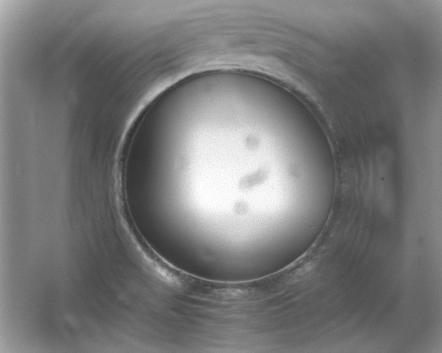 X0000067341517200604030946