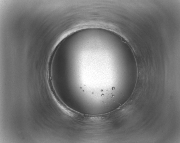 X0000067341523200604030946