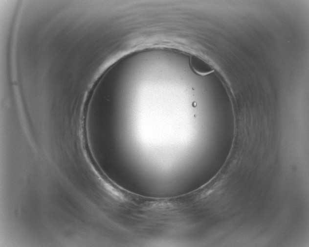 X0000067341525200604030946