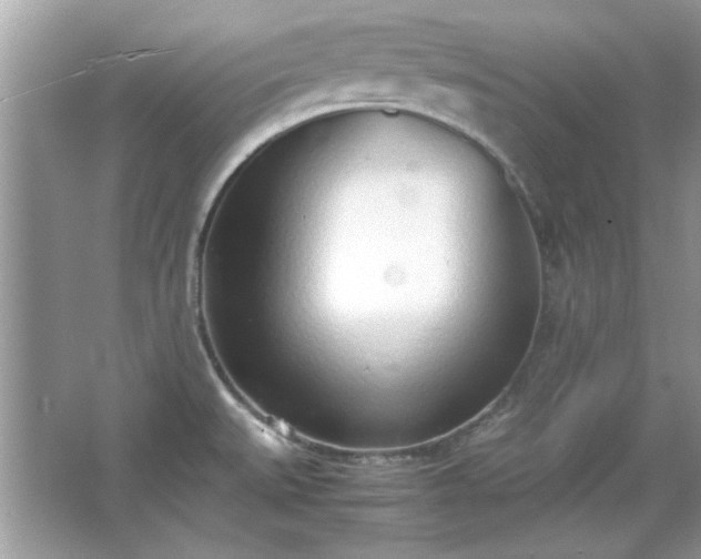 X0000067341527200604030946