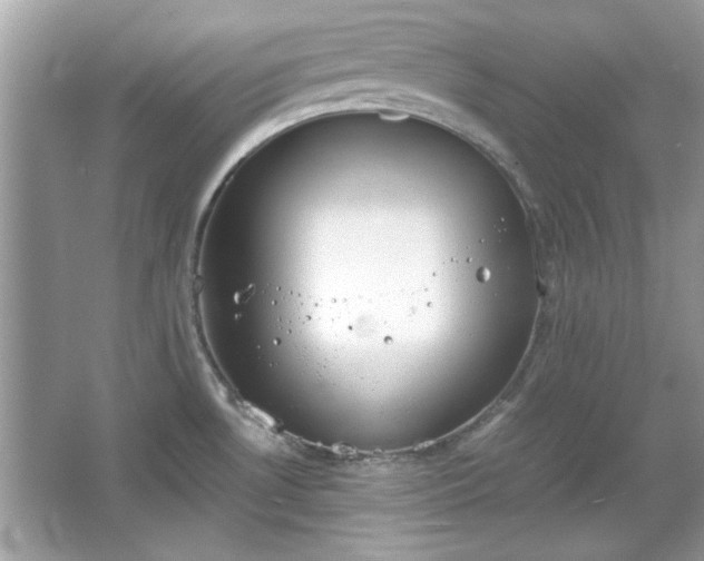 X0000067341530200604030946