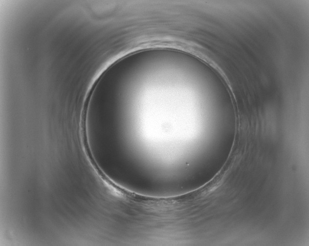 X0000067341533200604030946