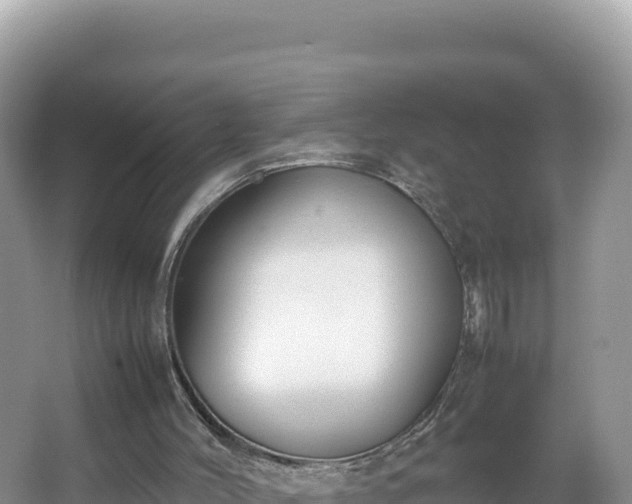 X0000067340004200604071403