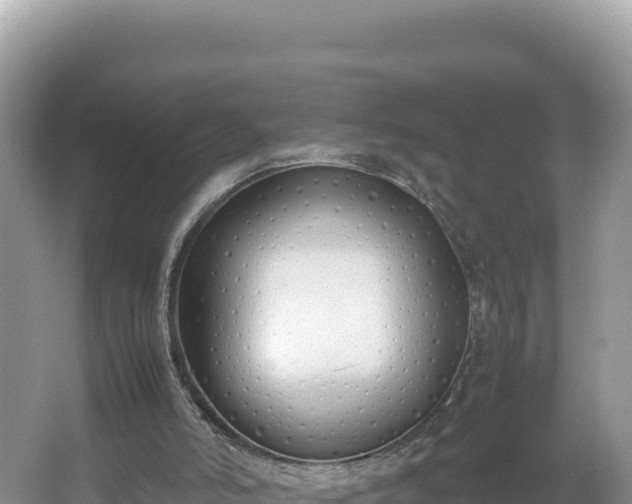 X0000067340006200604071403