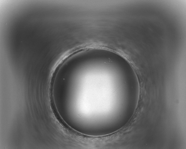 X0000067340007200604071403