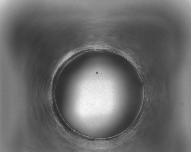 X0000067340008200604071403