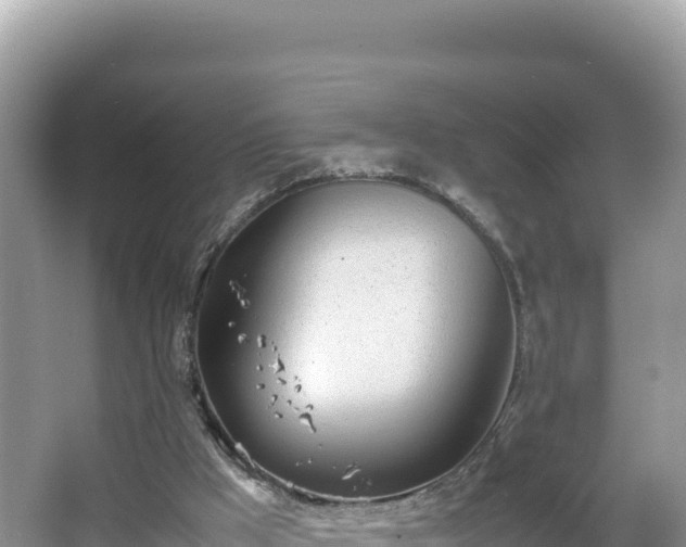 X0000067340009200604071403