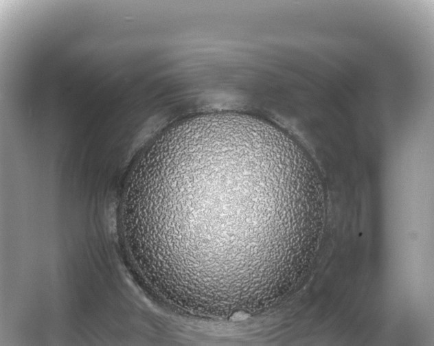 X0000067340010200604071403