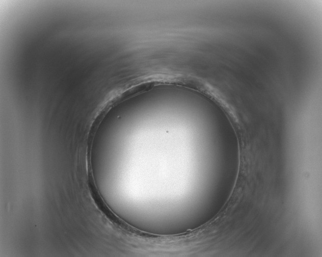 X0000067340011200604071403