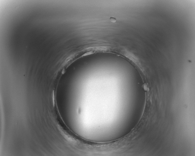 X0000067340013200604071403