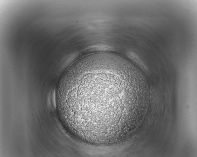 X0000067340014200604071403