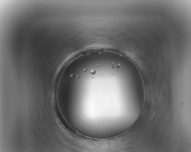 X0000067340015200604071403