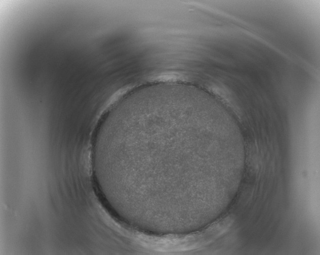 X0000067340016200604071403