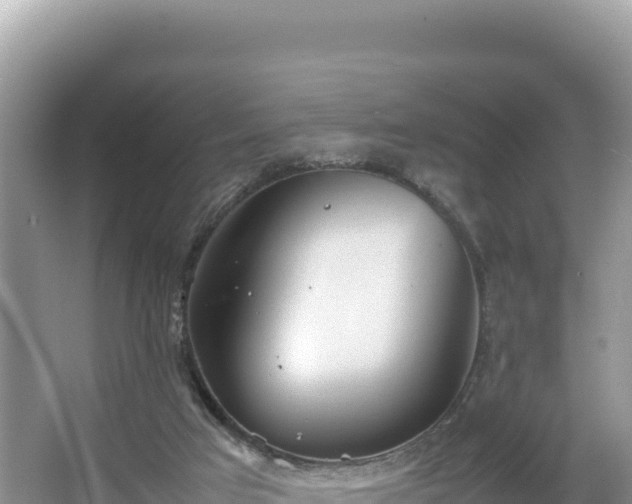 X0000067340017200604071403