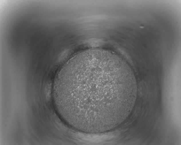 X0000067340018200604071403