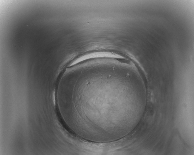 X0000067340019200604071403