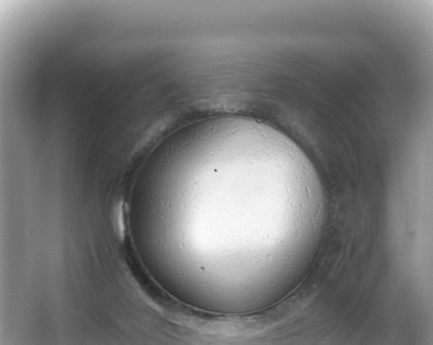 X0000067340020200604071403