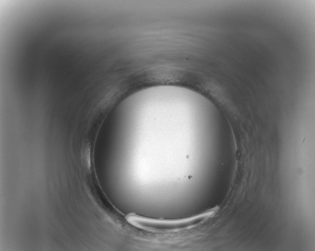 X0000067340021200604071403