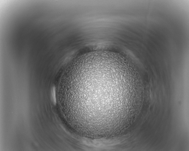 X0000067340022200604071403