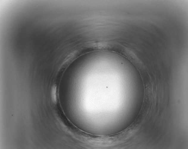 X0000067340024200604071403