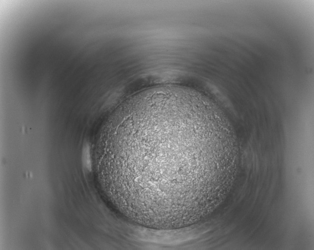 X0000067340026200604071403