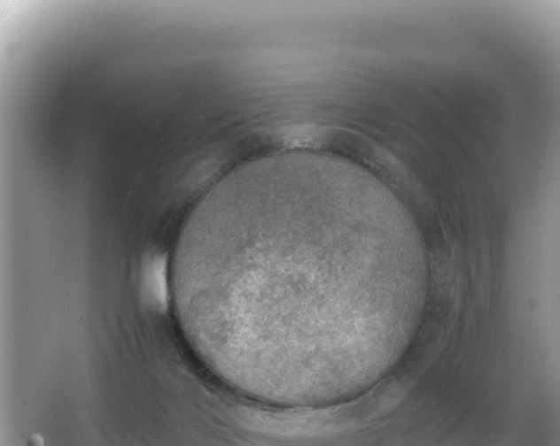 X0000067340028200604071403