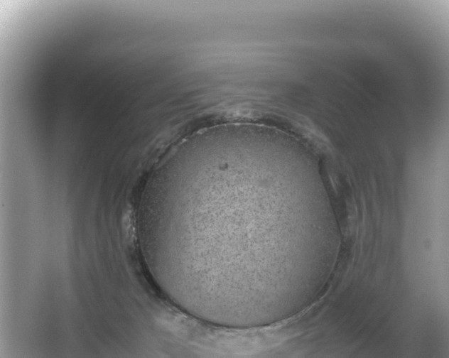 X0000067340029200604071403