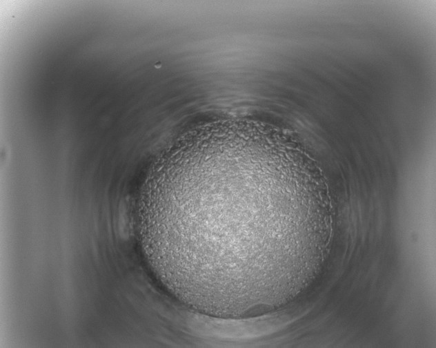 X0000067340030200604071403