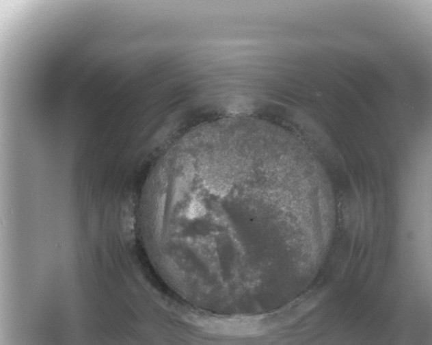 X0000067340032200604071403