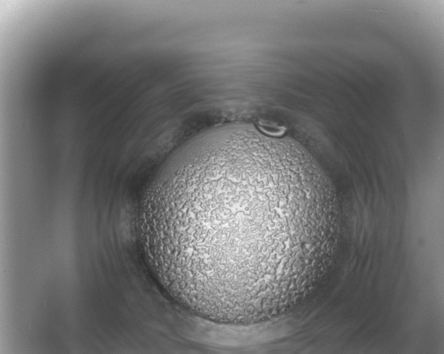 X0000067340034200604071403