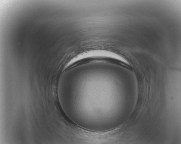 X0000067340035200604071403