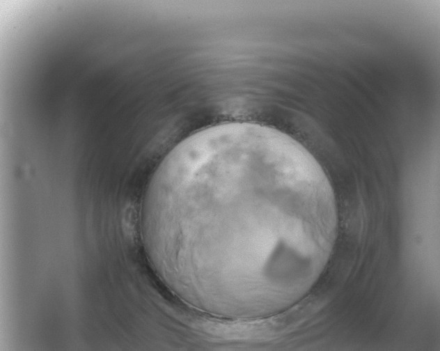 X0000067340036200604071403