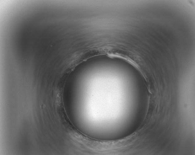 X0000067340037200604071402