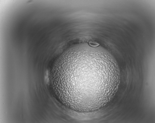 X0000067340038200604071402