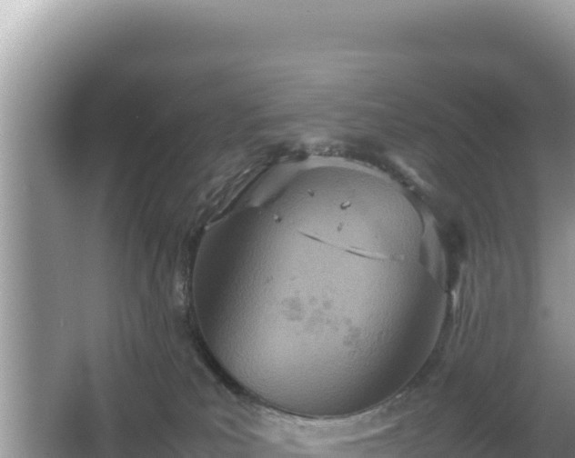 X0000067340039200604071402