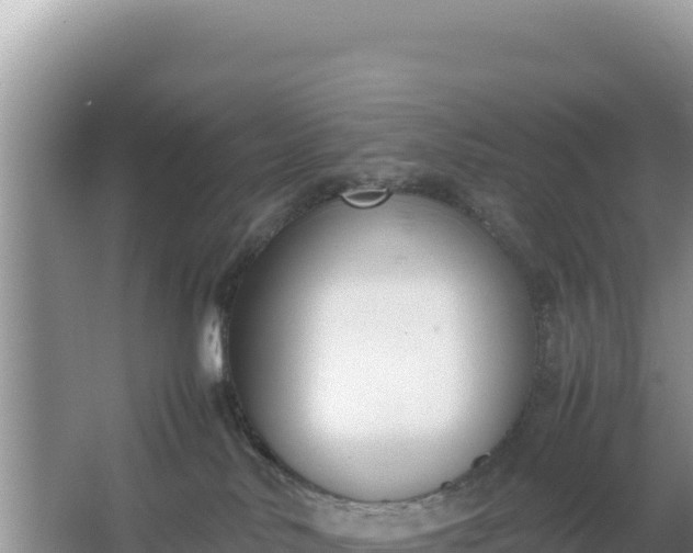 X0000067340042200604071402