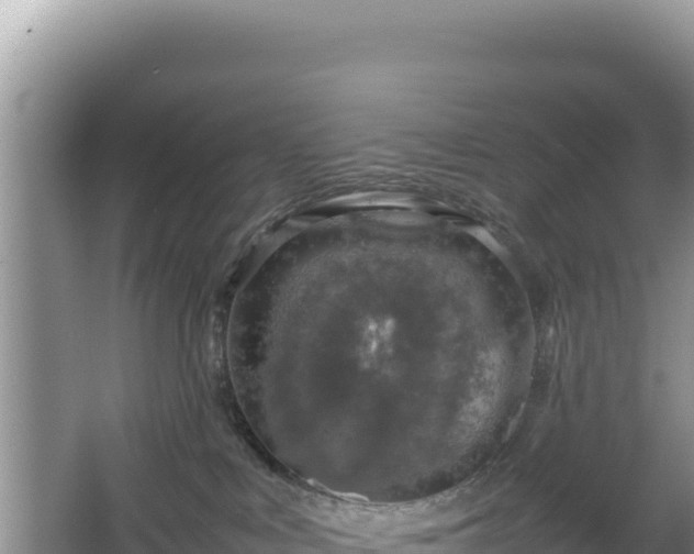 X0000067340043200604071402