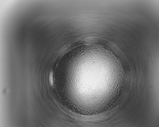 X0000067340046200604071402