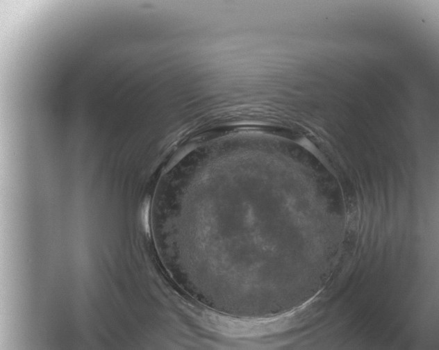 X0000067340047200604071402