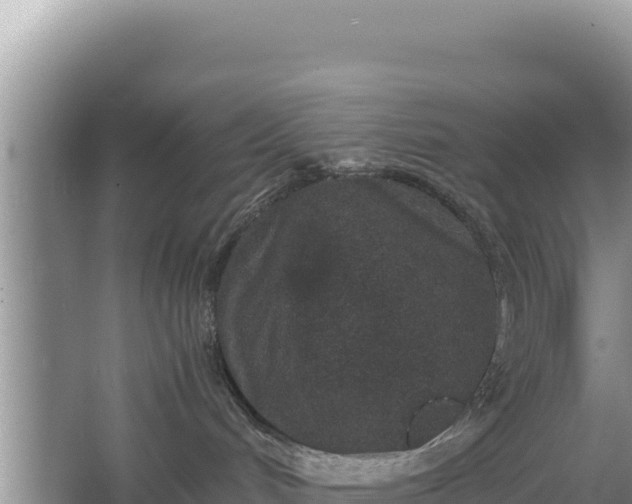 X0000067340048200604071402