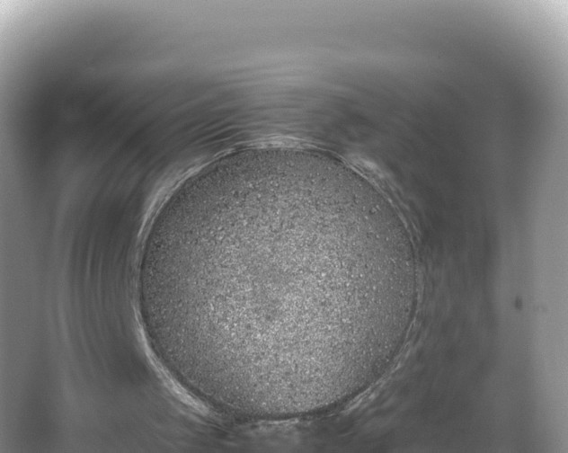 X0000067340049200604071401