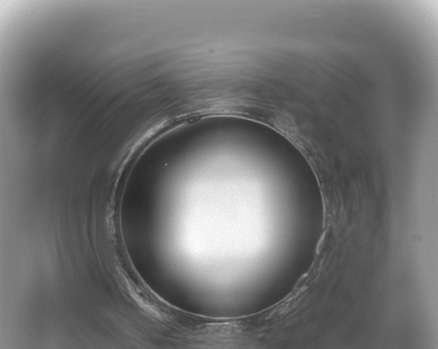 X0000067340050200604071402