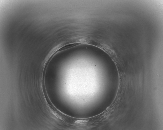 X0000067340051200604071402